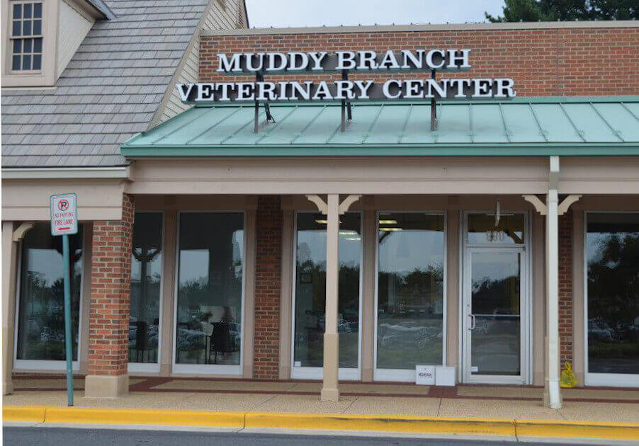 gaithersburg, md vet