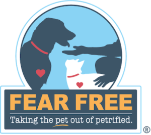 Fear Free Vet