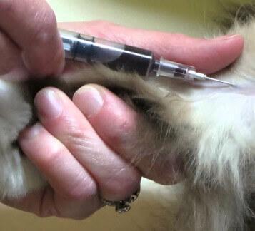 Diagnostics