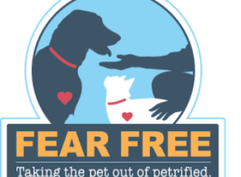 Vet visits should be as Fear Free as possible!